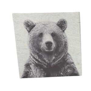 Gray Bear print on plywood art print 12 x 12 sold individually
